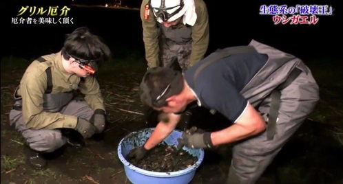 牛哥爆料大全视频,揭秘热门事件幕后真相  第1张